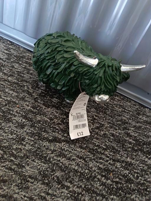 Buy & Sell Parkgate Rotherham - Photos for Highland cow