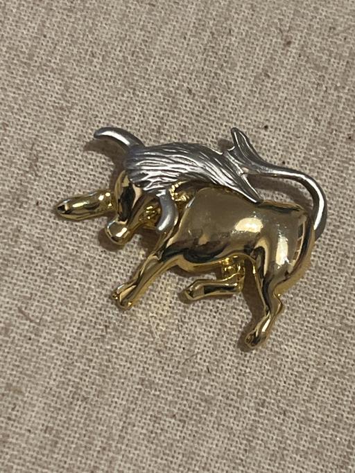 Buy & Sell Ovingdean Brighton - Photos for Beautiful brooch