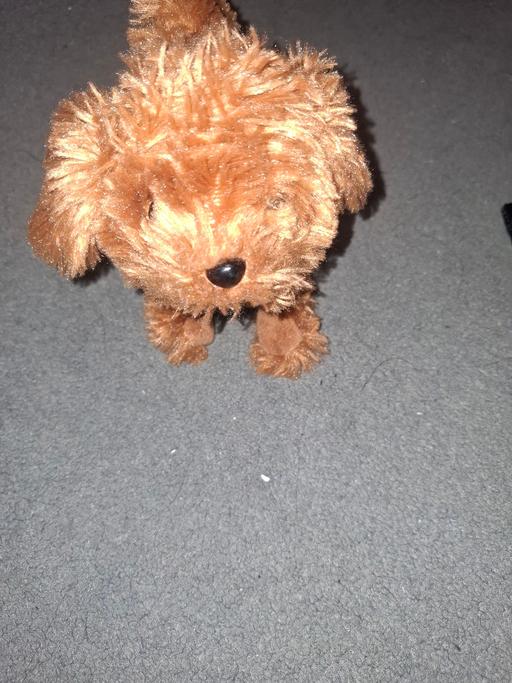 Buy & Sell Dodworth Barnsley - Photos for barking and walking dog toy