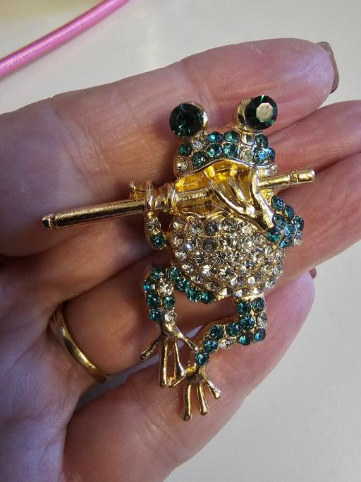 Buy & Sell Pilsley North East Derbyshire - Photos for frog brooch