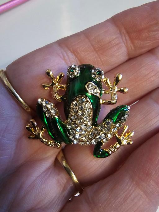 Buy & Sell Pilsley North East Derbyshire - Photos for frog brooch