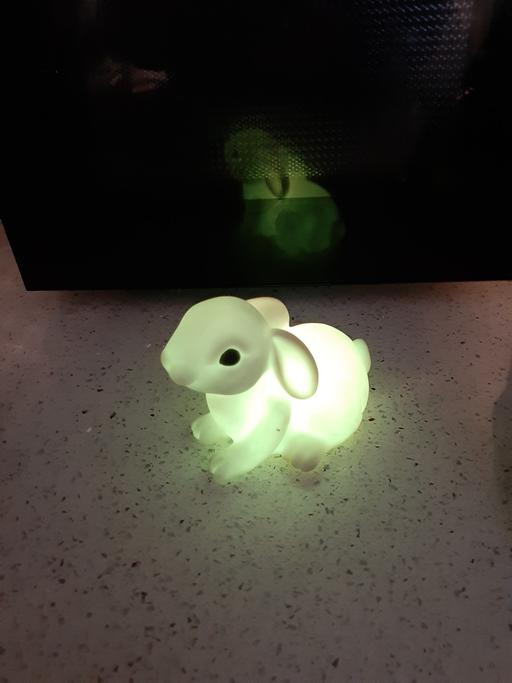 Buy & Sell South Hylton Sunderland - Photos for changing colour bunny