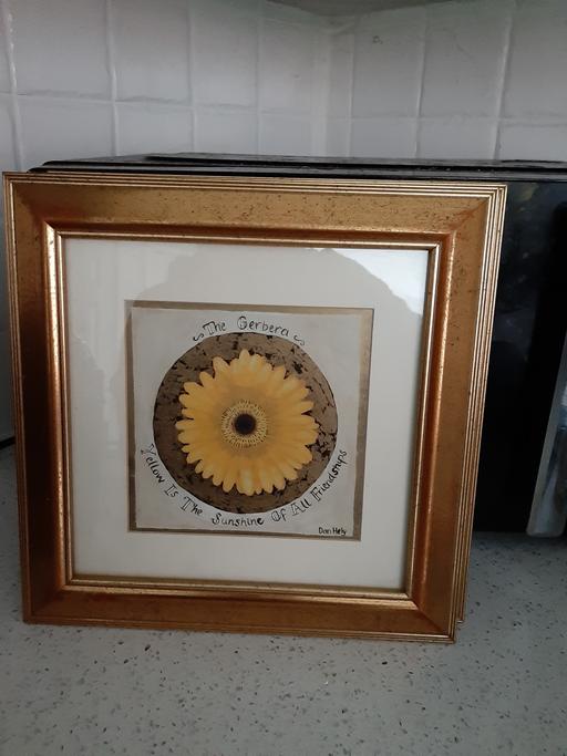 Buy & Sell South Hylton Sunderland - Photos for picture