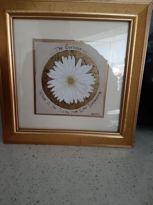 Buy & Sell South Hylton Sunderland - Photos for picture