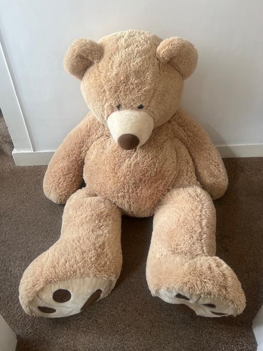 Buy & Sell Handsworth Sheffield - Photos for Big bear