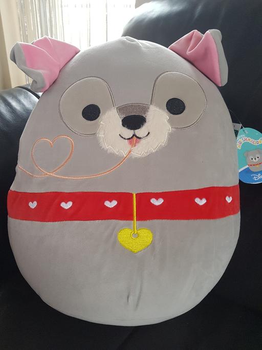 Buy & Sell Wyberton Fen Boston - Photos for Disney large Tramp Squishmallow