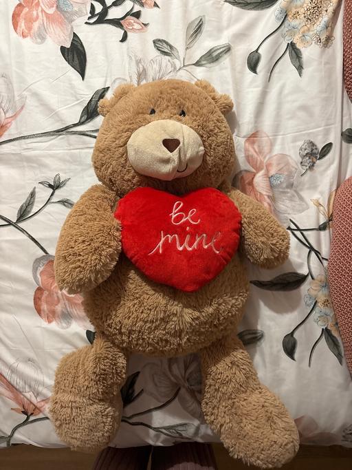 Buy & Sell Great Harrowden North Northamptonshire - Photos for Over 2 foot teddy bear
