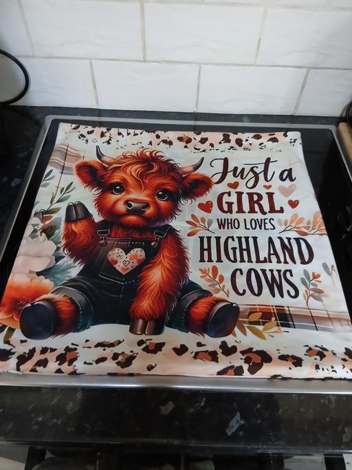 Buy & Sell Bradley Fold Trading Estate Bury - Photos for Coushion Cover (Used Good Con)