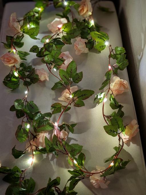 Buy & Sell Bognor Regis Arun - Photos for beautiful antique rose garland string lights