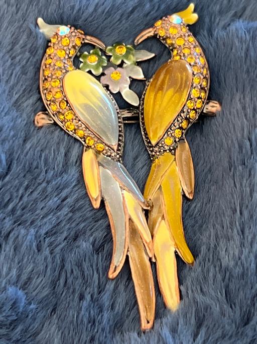 Buy & Sell Rottingdean Brighton - Photos for Beautiful brooch