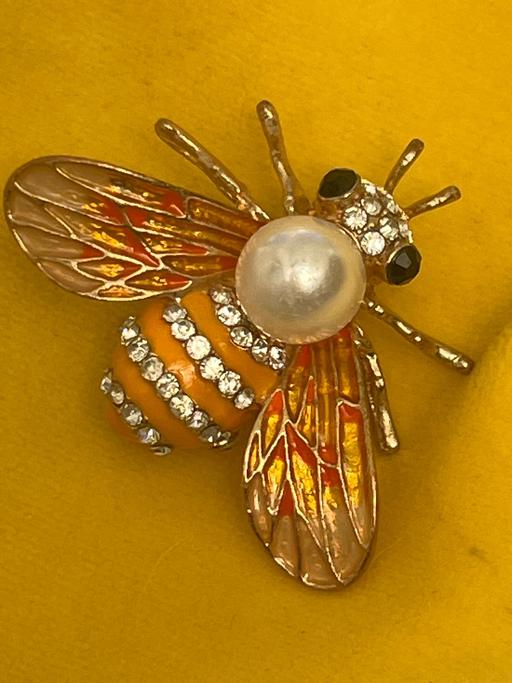 Buy & Sell Ovingdean Brighton - Photos for Beautiful brooch