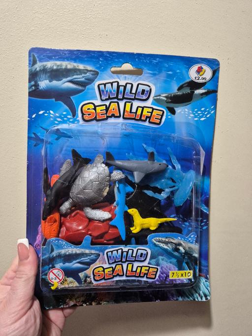 Buy & Sell Crumpsall Manchester - Photos for new Wild Sea Life Figures