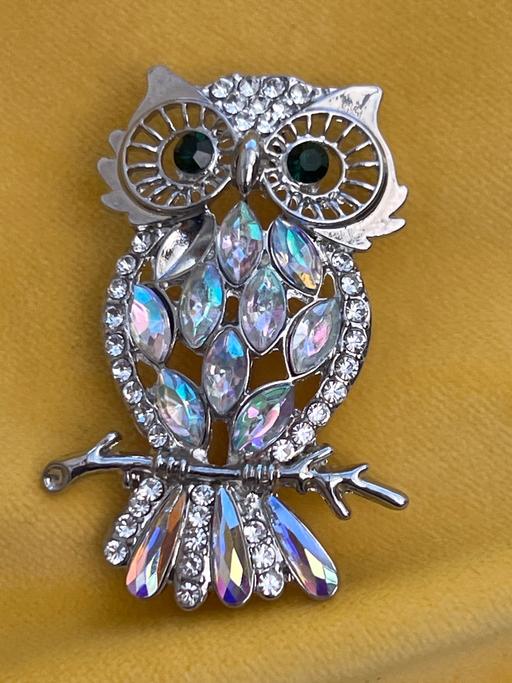 Buy & Sell Ovingdean Brighton - Photos for Beautiful brooch