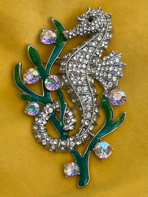 Buy & Sell Ovingdean Brighton - Photos for Stunning huge brooch