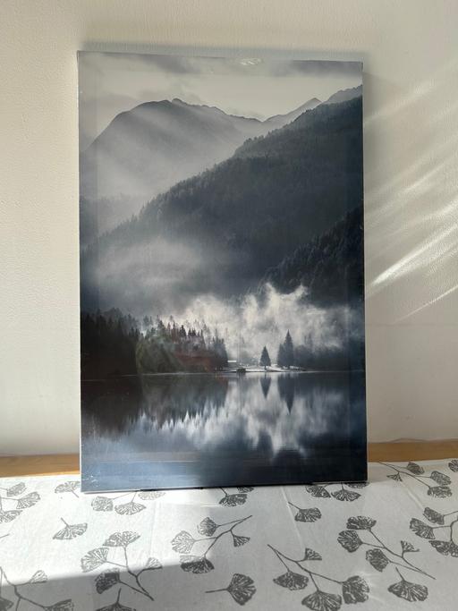 Buy & Sell Dulwich South East London - Photos for Forest Lake Black and White Painting