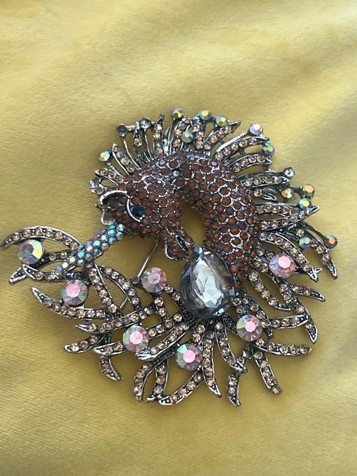 Buy & Sell Rottingdean Brighton - Photos for Stunning huge brooch