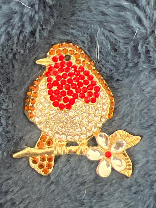 Buy & Sell Ovingdean Brighton - Photos for Beautiful brooch