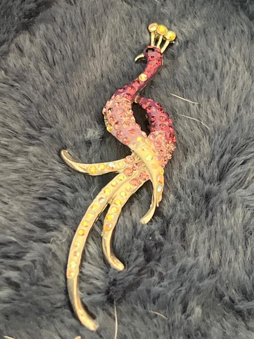 Buy & Sell Ovingdean Brighton - Photos for Beautiful brooch