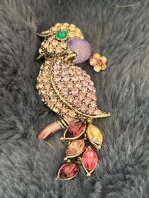 Buy & Sell Rottingdean Brighton - Photos for Beautiful brooch