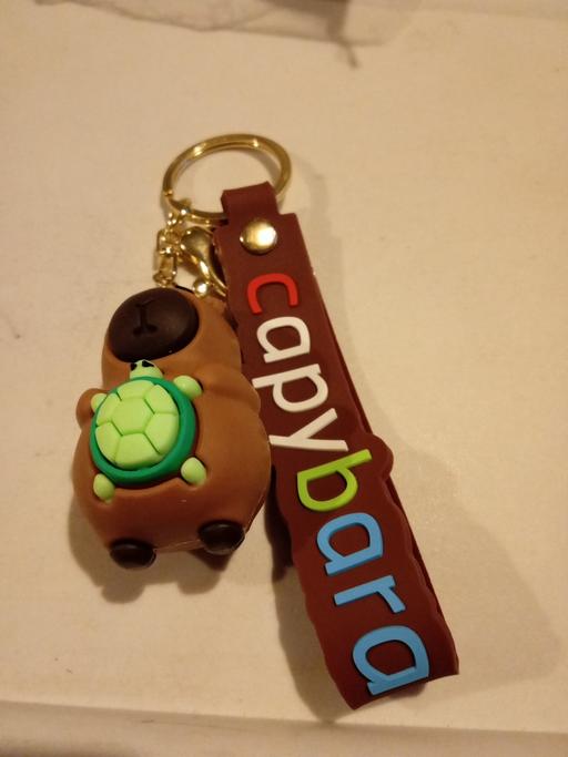 Buy & Sell Horncastle East Lindsey - Photos for brand new Capybara character keyring set