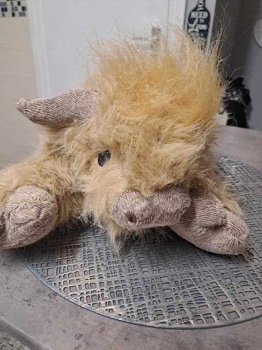 Buy & Sell Gleadless Valley Sheffield - Photos for gorgeous highland cow