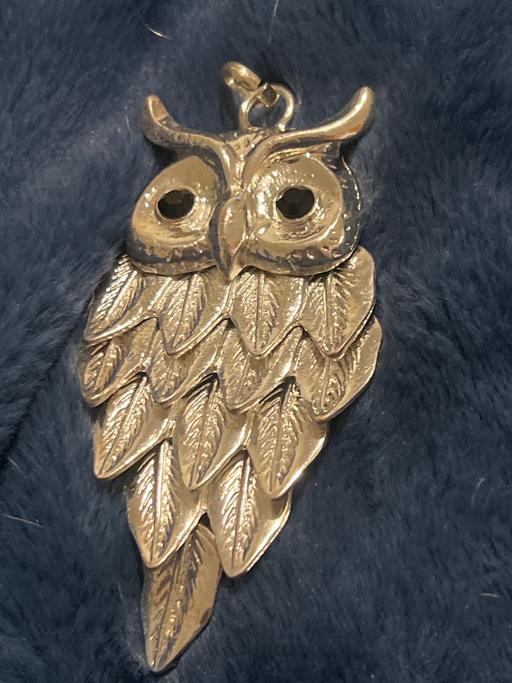 Buy & Sell Rottingdean Brighton - Photos for Beautiful owl pendant