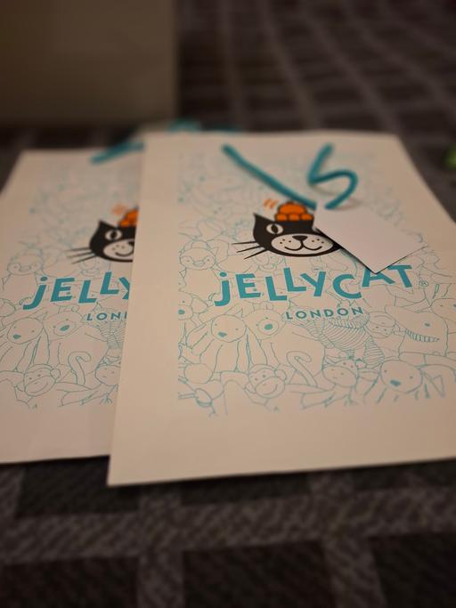 Buy & Sell Dodworth Barnsley - Photos for 2 jelly cat gift bags