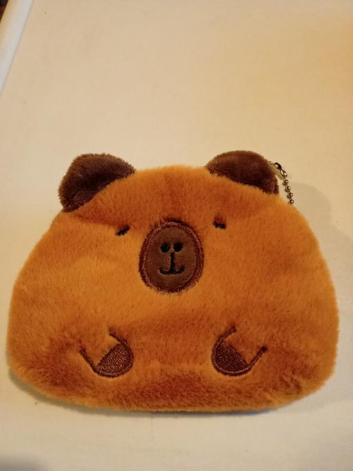 Buy & Sell Horncastle East Lindsey - Photos for brand new Capybara purse