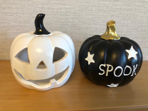 Buy & Sell Rainstorth Rotherham - Photos for Halloween decorations x2