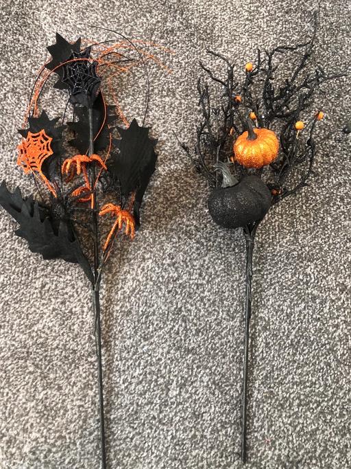 Buy & Sell Rainstorth Rotherham - Photos for Halloween decoration sticks x2