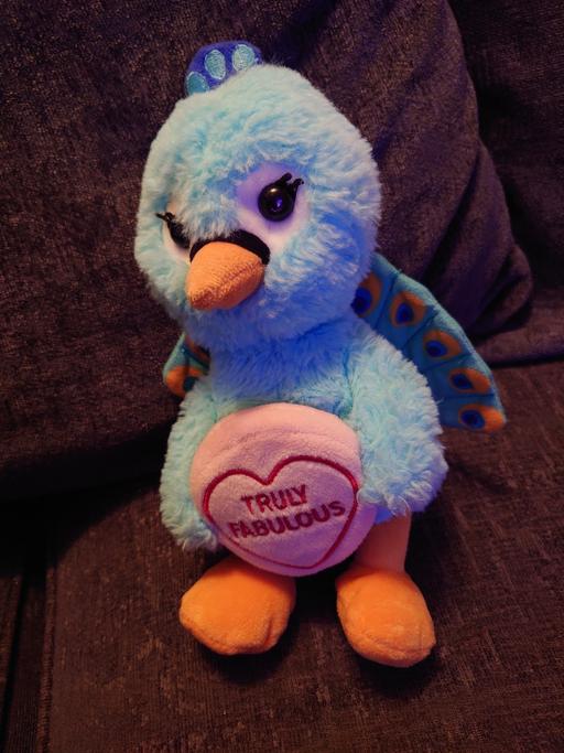 Buy & Sell Woodthorpe Charnwood - Photos for Love hearts peacock soft toy
