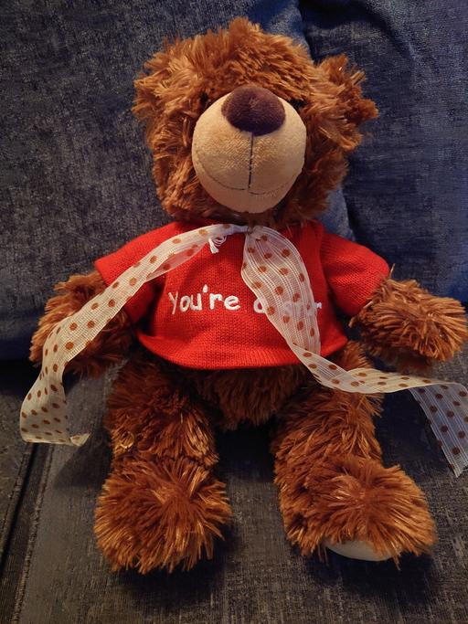 Buy & Sell Woodthorpe Charnwood - Photos for You're a star teddy bear