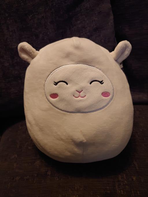Buy & Sell Woodthorpe Charnwood - Photos for Sheep squishmallow soft toy