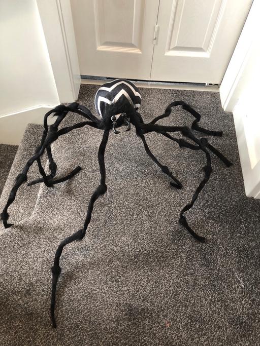 Buy & Sell Longley Sheffield - Photos for Large spider decoration