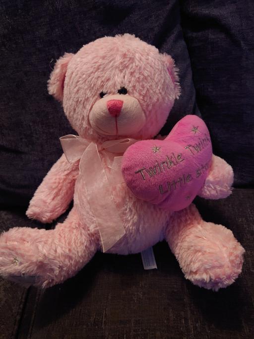 Buy & Sell Woodthorpe Charnwood - Photos for Pink teddy bear soft toy