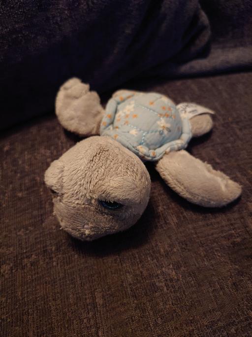 Buy & Sell Woodthorpe Charnwood - Photos for Turtle soft toy