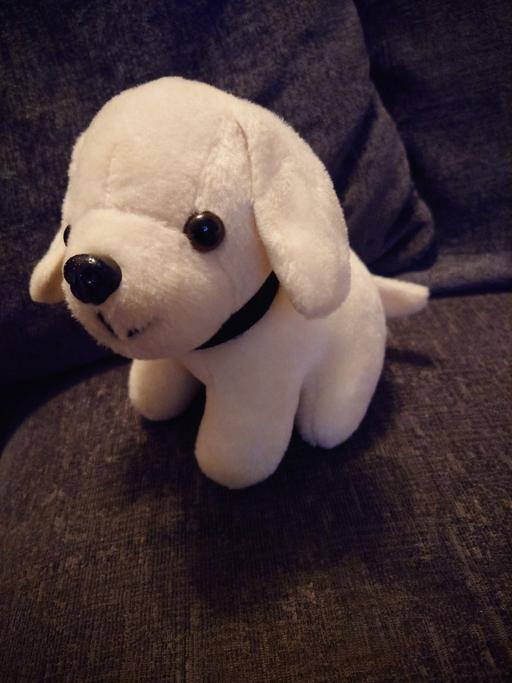 Buy & Sell Woodthorpe Charnwood - Photos for Dog soft toy