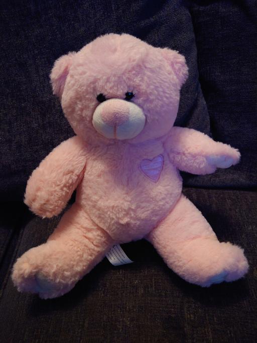 Buy & Sell Woodthorpe Charnwood - Photos for Pink teddy bear