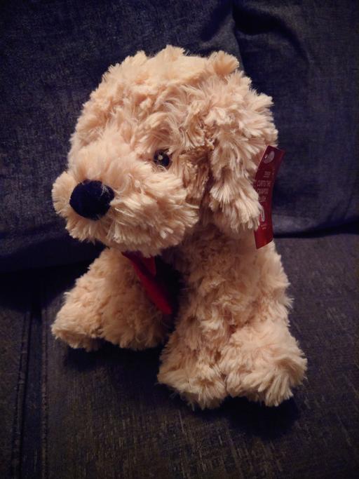 Buy & Sell Woodthorpe Charnwood - Photos for Curtis the cavapoo plush
