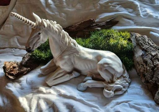 Buy & Sell Saint Georges Telford and Wrekin - Photos for Unicorn