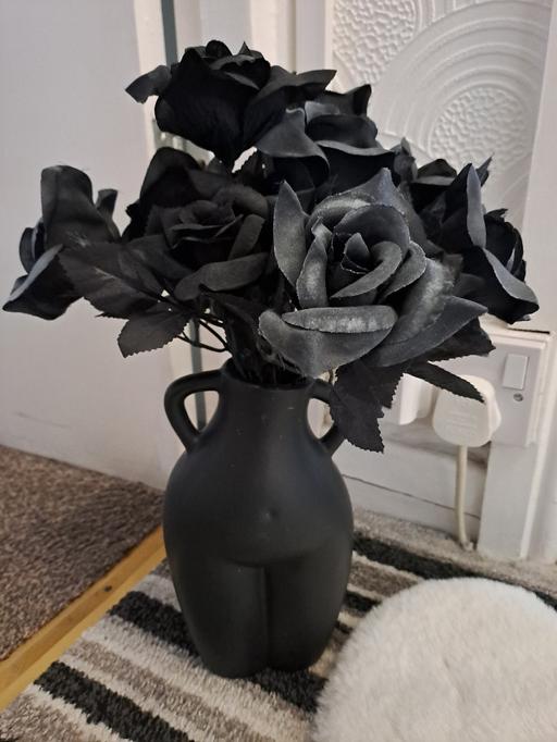 Buy & Sell Park Hill Sheffield - Photos for body vase with black roses