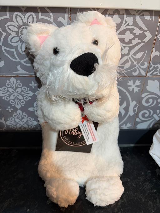 Buy & Sell Bordesley Green Birmingham - Photos for Hot water bottle