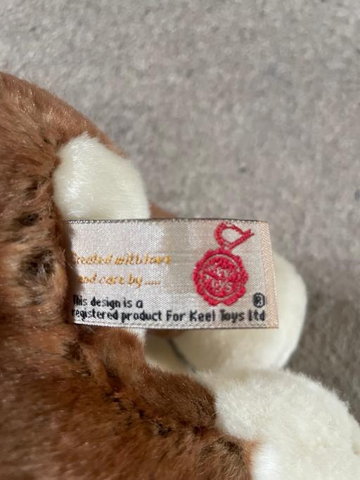 Buy & Sell Ynysddu Caerphilly - Wales - Photos for Plush dog teddy