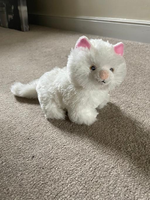Buy & Sell Ynysddu Caerphilly - Wales - Photos for Plush cat