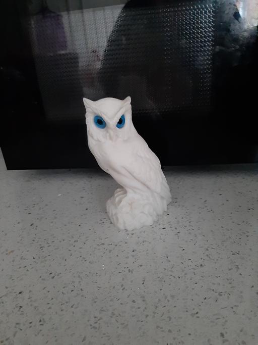 Buy & Sell South Hylton Sunderland - Photos for owl dec