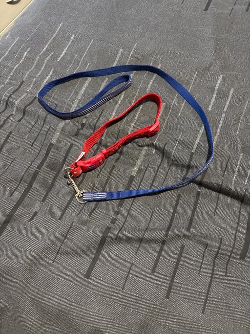 Buy & Sell Woodsetton Dudley - Photos for Dog lead and collar