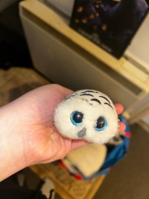 Buy & Sell Harborne Birmingham - Photos for Teddies