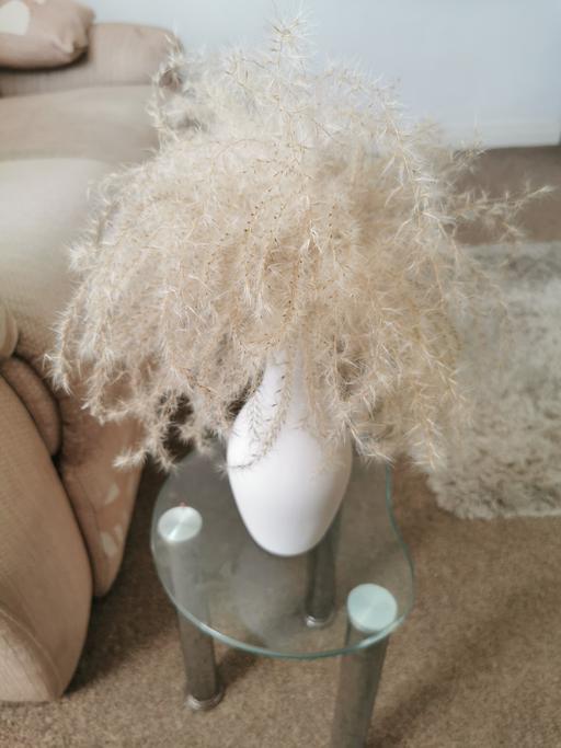 Buy & Sell Kilnhurst Rotherham - Photos for vase and pampas