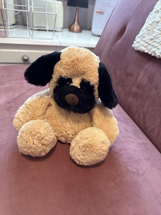 Buy & Sell Smethwick Sandwell - Photos for Microwaveable plush toy