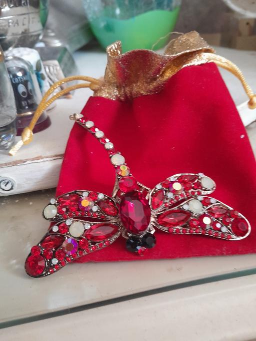 Buy & Sell Netherton Dudley - Photos for big dragon fly broach